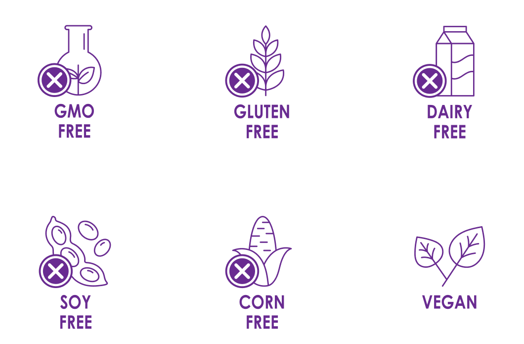 GMO Free Gluten Free Dairy Free Soy Free Corn Free Vegan